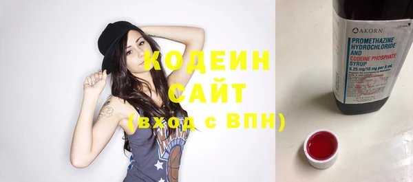 МДПВ Пересвет